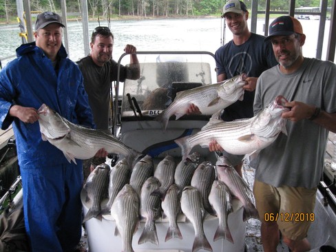 Nice Striped Bass